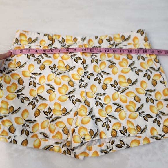 LOFT Lemon Pattern Women's Shorts Size 12 - Picture 3 of 5